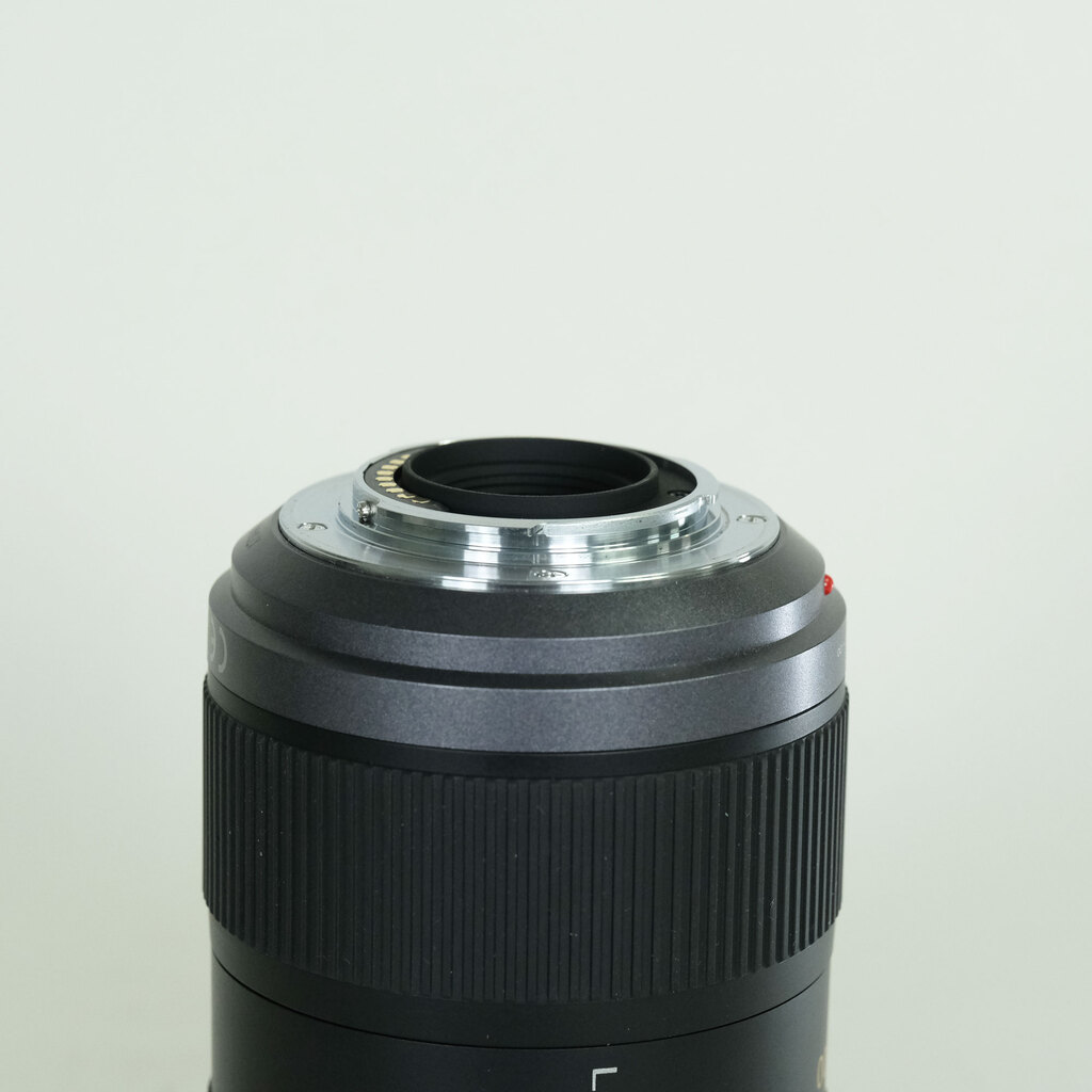 Panasonic LUMIX G VARIO 45-200mm F4.0-F5.6 MEGA O.I.S. H-FS045200