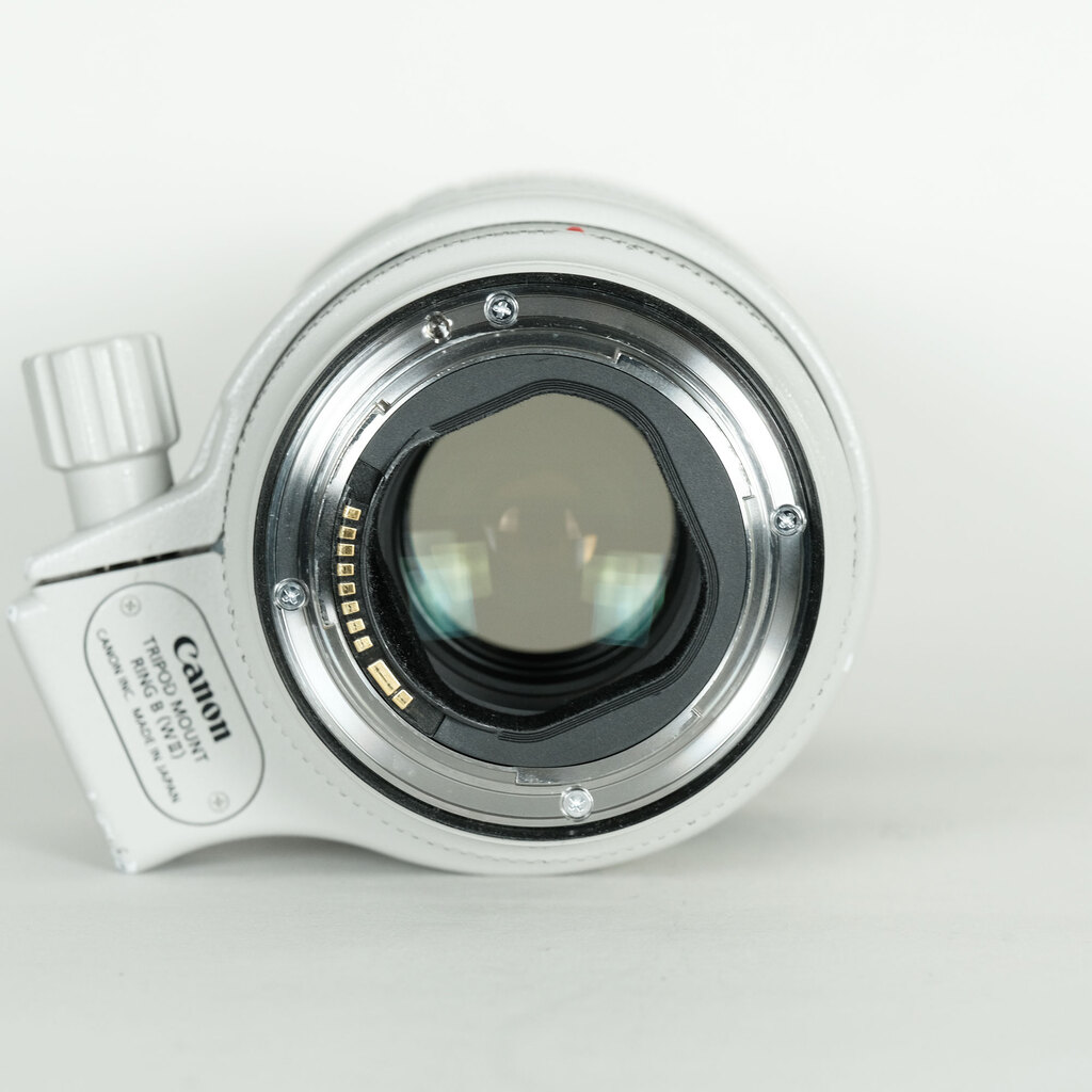 Canon EF70-200mm F2.8L IS III USM