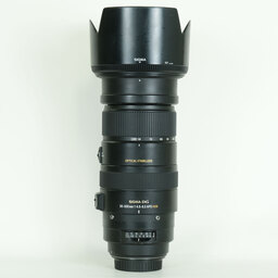 SIGMA APO 50-500mm F4.5-6.3 DG OS HSM (キヤノンEF用)