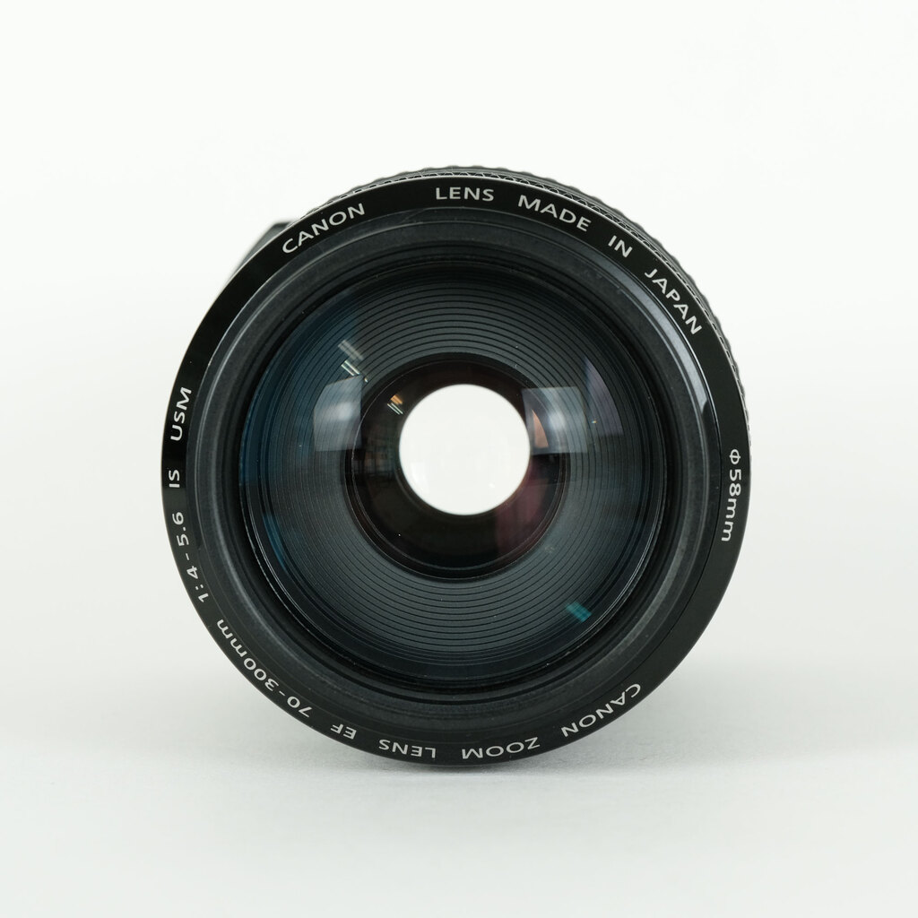 Canon EF70-300mm F4-5.6 IS USM