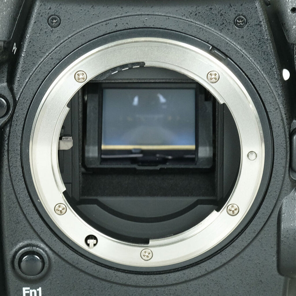 Nikon D500