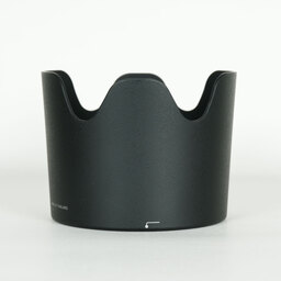 Nikon AF-S VR Zoom-Nikkor 70-300mm F4.5-5.6G IF-ED