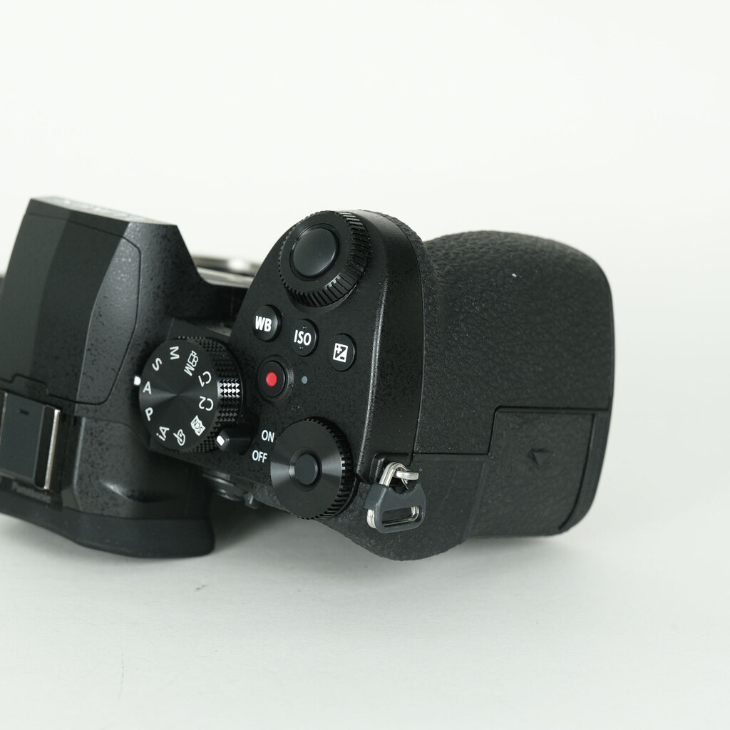 Panasonic LUMIX DC-G99D ボディ ブラックの出品 | ONE SCENE（ワン