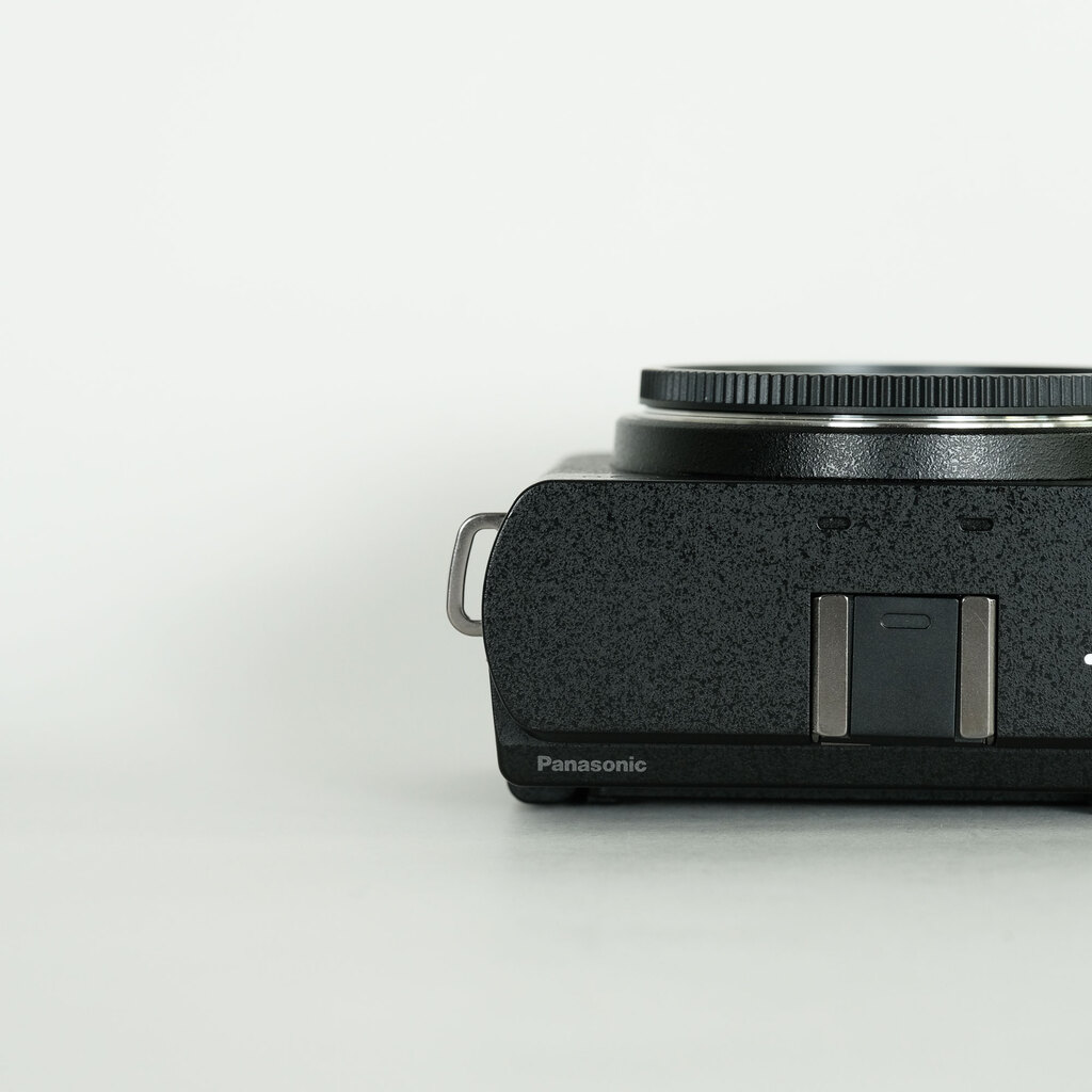 Panasonic LUMIX DC-S9