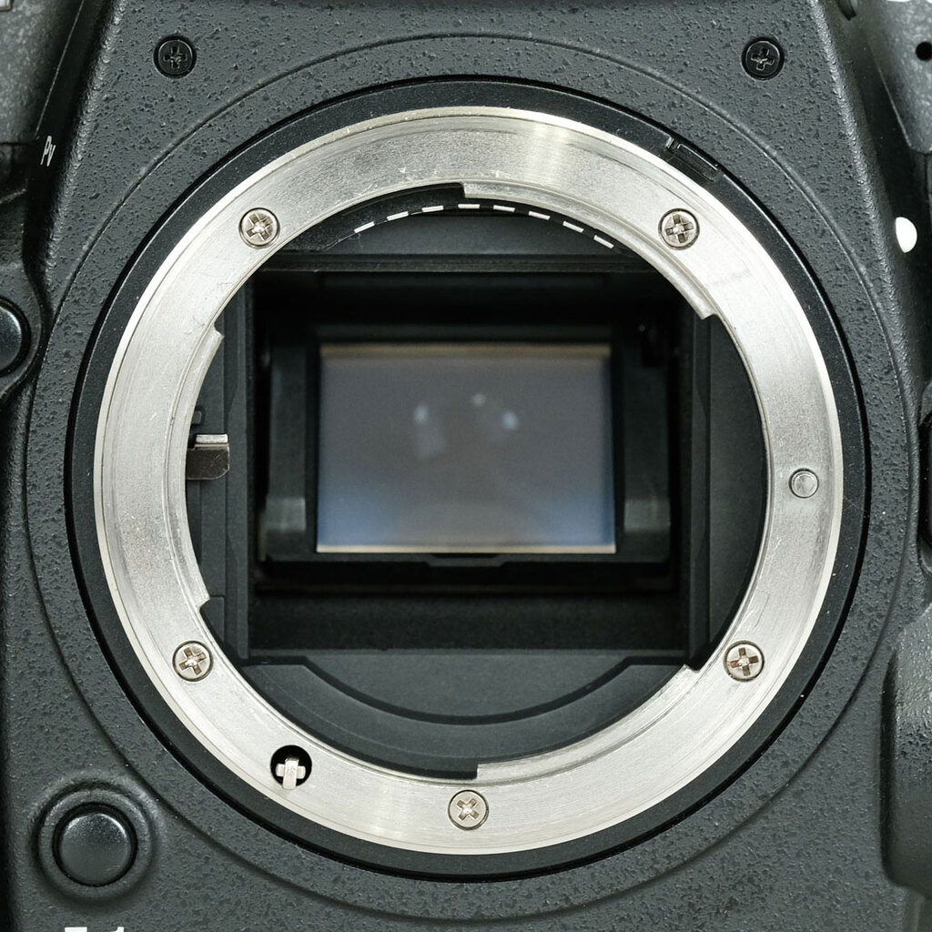 Nikon D500