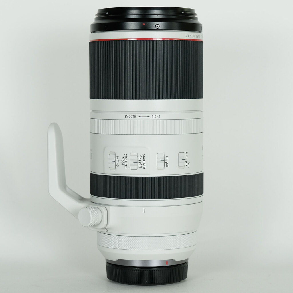 Canon RF100-500mm F4.5-7.1L IS USM