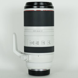 Canon RF100-500mm F4.5-7.1L IS USM
