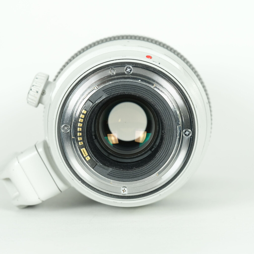 Canon EF100-400mm F4.5-5.6L IS II USM Canon EF100-400mm F4.5-5.6L IS II USM