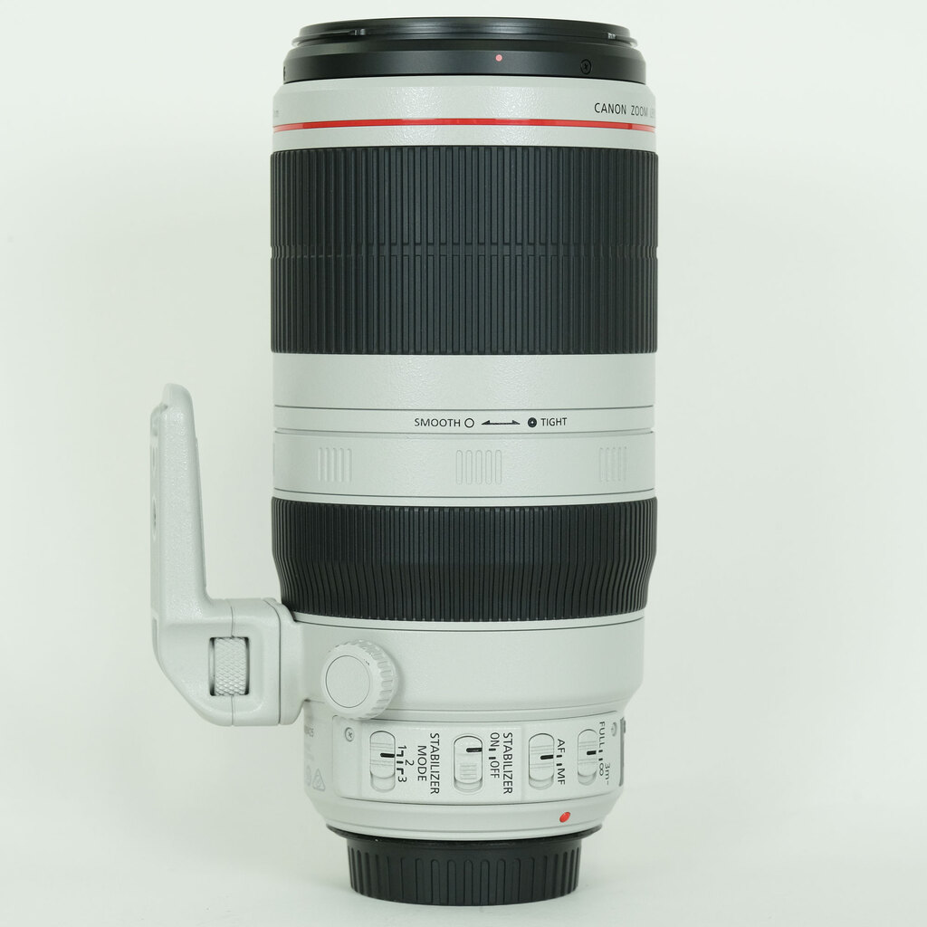 Canon EF100-400mm F4.5-5.6L IS II USM