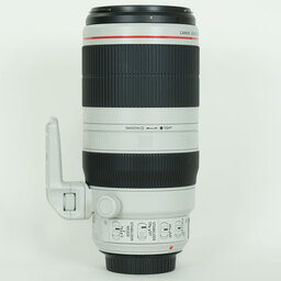 Canon EF100-400mm F4.5-5.6L IS II USM