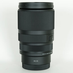SIGMA 16-300mm F3.5-6.7 DC OS｜Contemporary [ソニーE用]