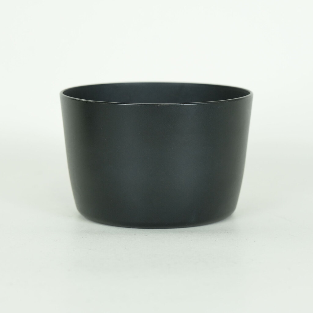 Canon EF-S55-250mm F4-5.6 IS