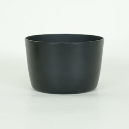 Canon EF-S55-250mm F4-5.6 IS