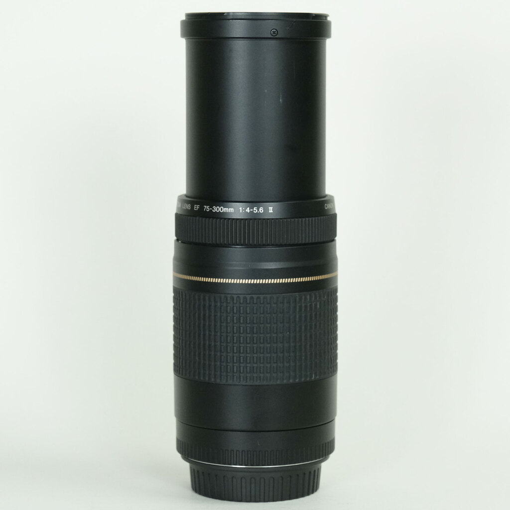 Canon EF75-300mm F4-5.6 II USM