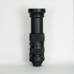 SIGMA 60-600mm F4.5-6.3 DG OS HSM｜Sports [ニコンF用]