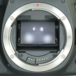 Canon EOS 6D Mark II