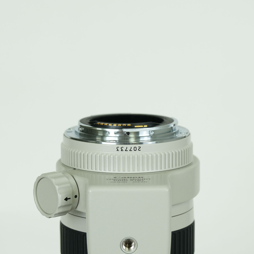 Canon EF70-200mm F4L USM