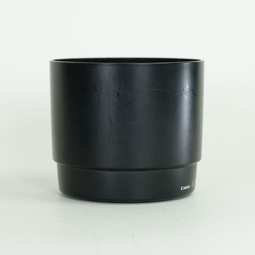 Canon EF100mm F2.8 マクロ USM