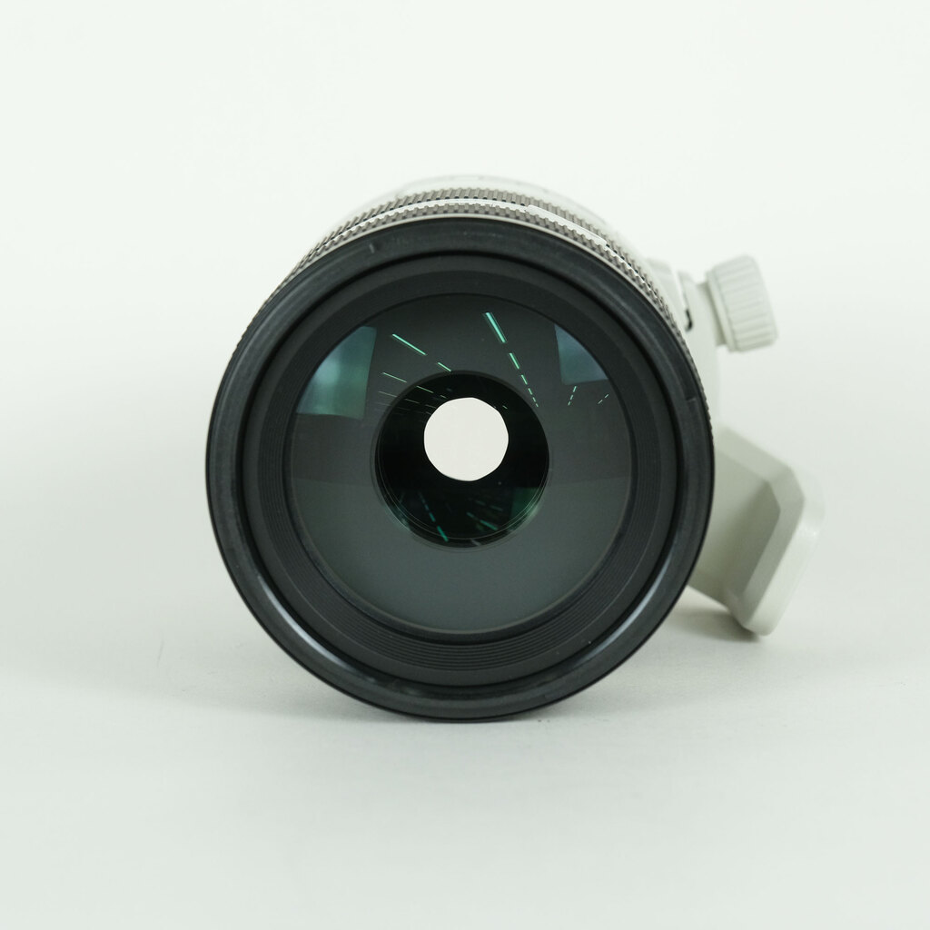 SONY FE70-200mm F4 Macro G OSS II SEL70200G2