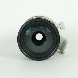 SONY FE70-200mm F4 Macro G OSS II SEL70200G2