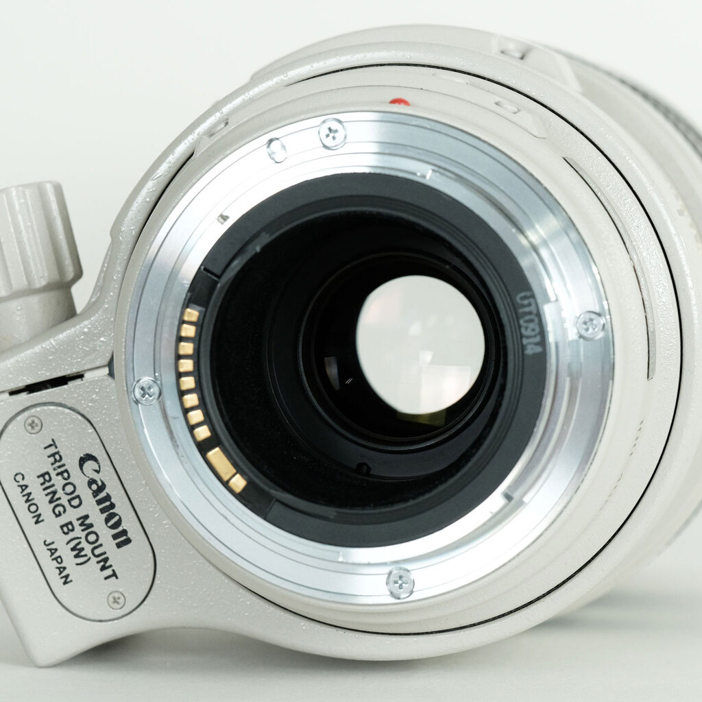 Canon EF100-400mm F4.5-5.6L IS USM