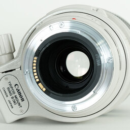 Canon EF100-400mm F4.5-5.6L IS USM