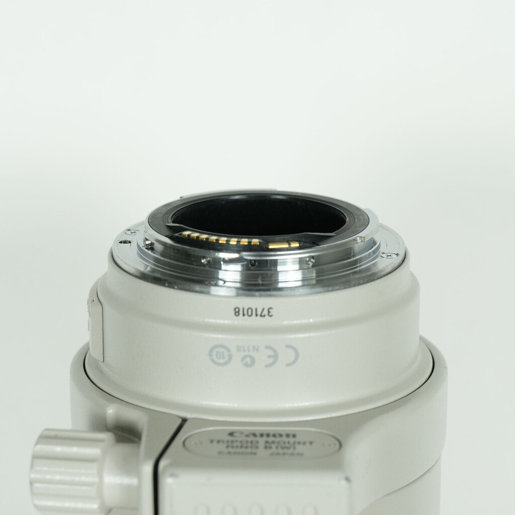 Canon EF100-400mm F4.5-5.6L IS USM