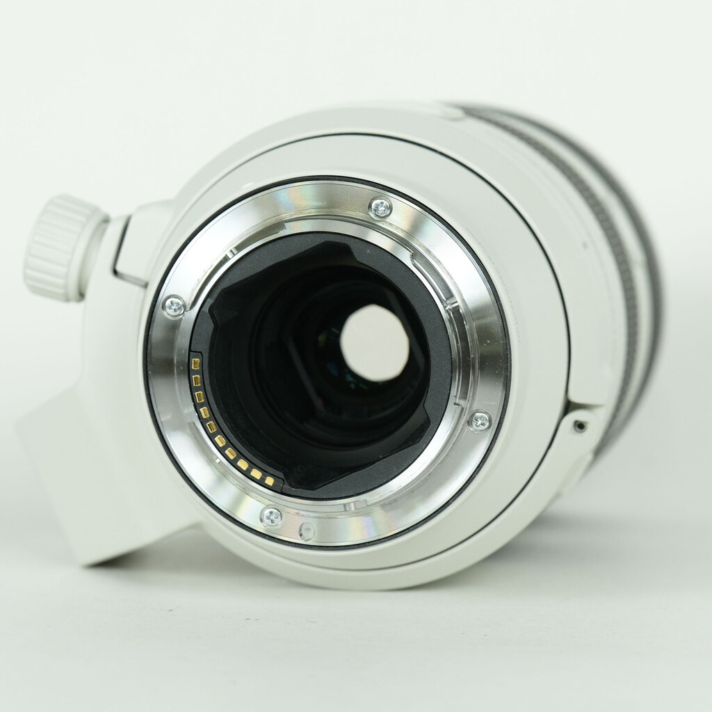 SONY FE70-200mm F4 Macro G OSS II SEL70200G2