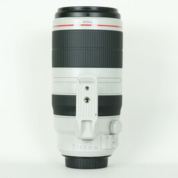 Canon EF100-400mm F4.5-5.6L IS II USM
