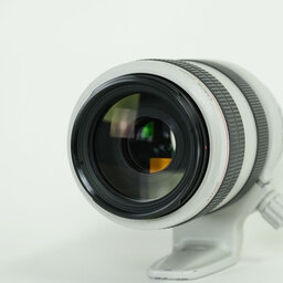 Canon EF70-300mm F4-5.6L IS USM