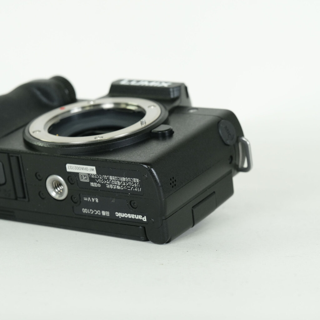 Panasonic LUMIX DC-G100