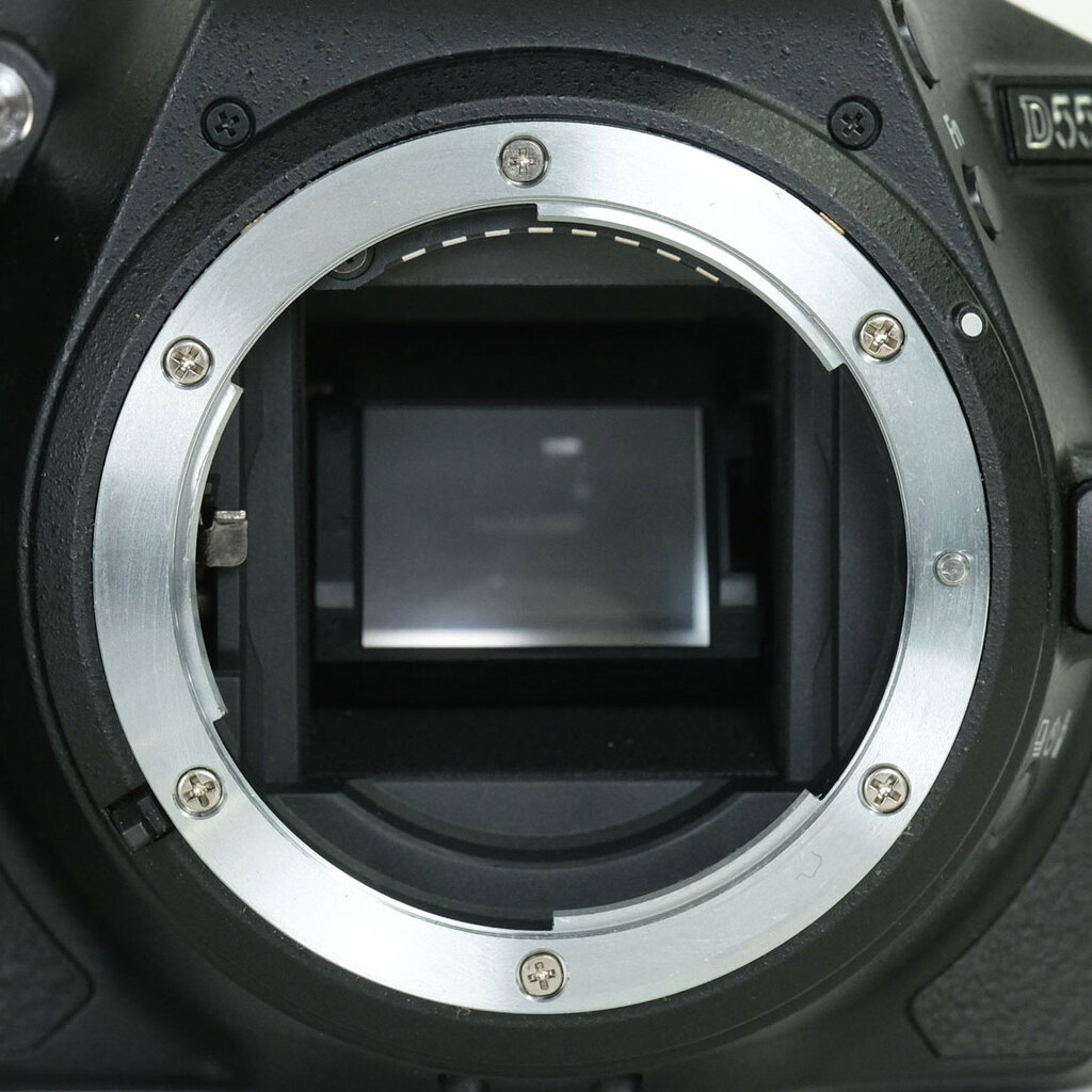 Nikon D5500