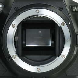 Nikon D5500