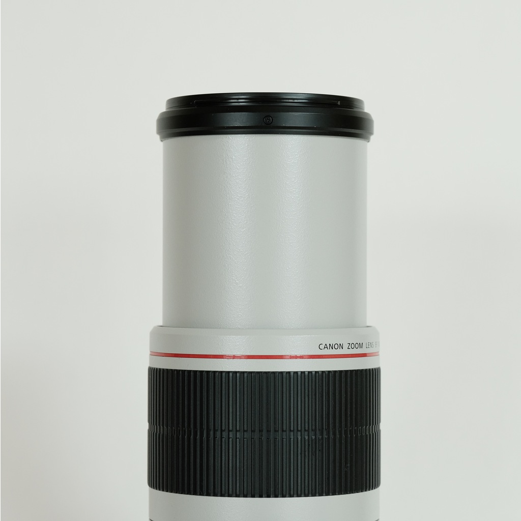 Canon EF100-400mm F4.5-5.6L IS II USM