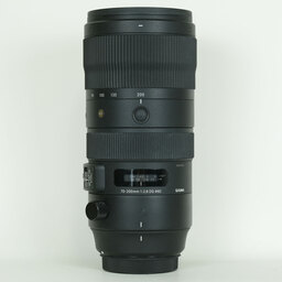 SIGMA 70-200mm F2.8 DG OS HSM｜Sports [キヤノン用]