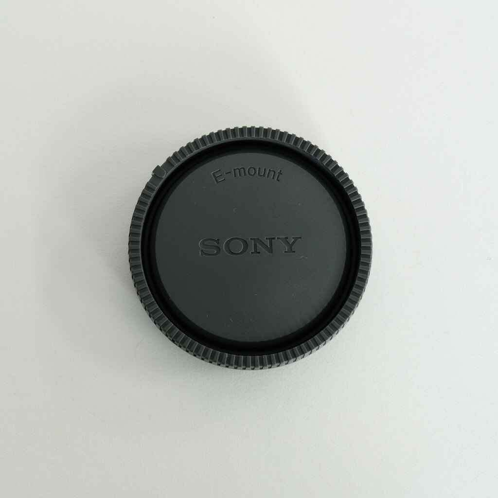 SONY FE 24-105mm F4 G OSS SEL24105G