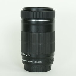 Canon EF-S55-250mm F4-5.6 IS STM