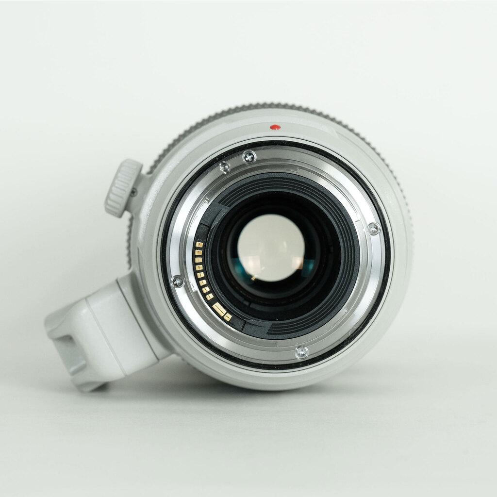 Canon EF100-400mm F4.5-5.6L IS II USM