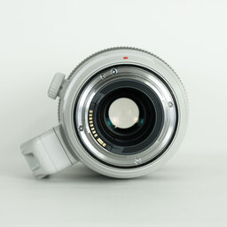 Canon EF100-400mm F4.5-5.6L IS II USM