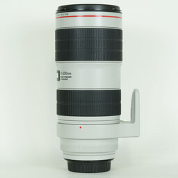 Canon EF70-200mm F2.8L IS III USM