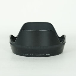 SIGMA 24-70mm F2.8 DG DN｜Art [ソニーE用]