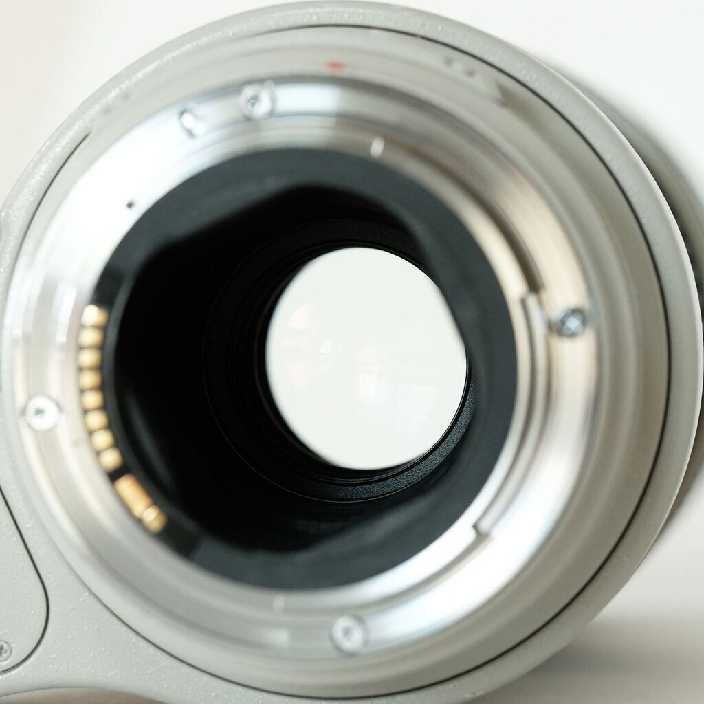 Canon 300mm F4L IS USM