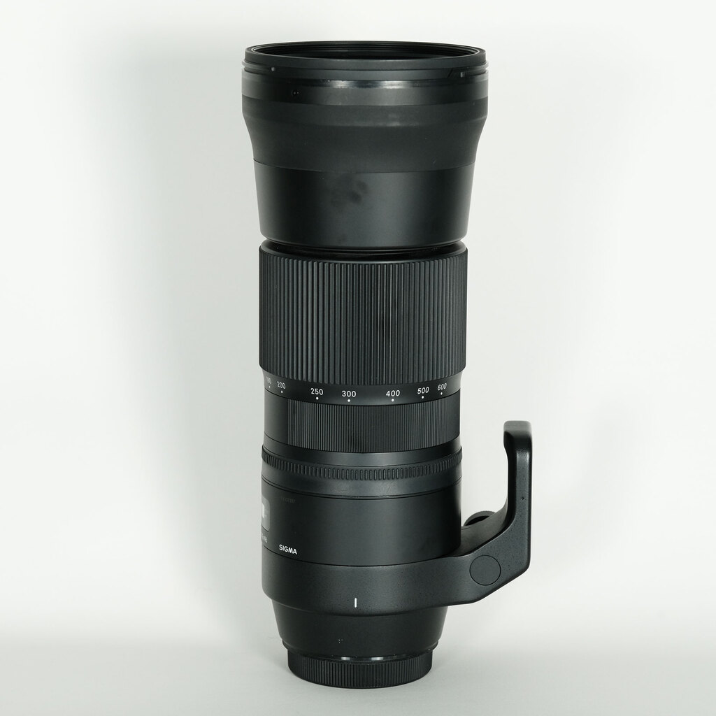 SIGMA 150-600mm F5-6.3 DG OS HSM | Contemporary [キヤノンEF用]