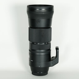 SIGMA 150-600mm F5-6.3 DG OS HSM | Contemporary [キヤノンEF用]