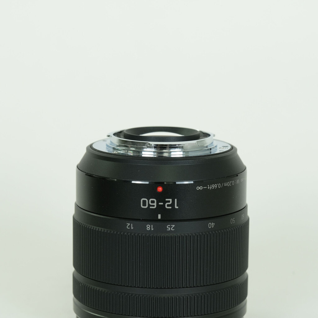 Panasonic LUMIX G VARIO 12-60mm / F3.5-5.6 ASPH. / POWER O.I.S.