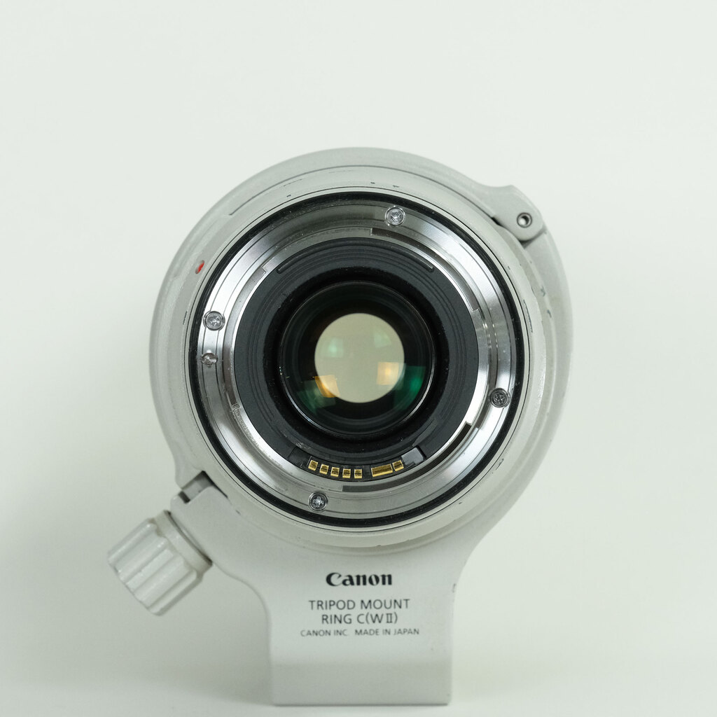 Canon EF70-300mm F4-5.6L IS USM