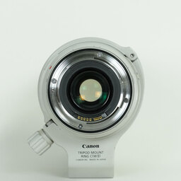 Canon EF70-300mm F4-5.6L IS USM