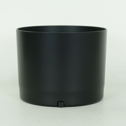 Canon RF800mm F11 IS STM