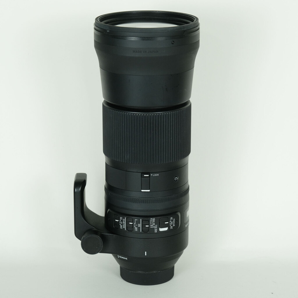 SIGMA 150-600mm F5-6.3 DG OS HSM｜Contemporary [ニコンF用]