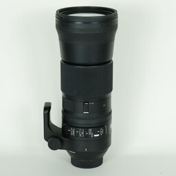 SIGMA 150-600mm F5-6.3 DG OS HSM｜Contemporary [ニコンF用]